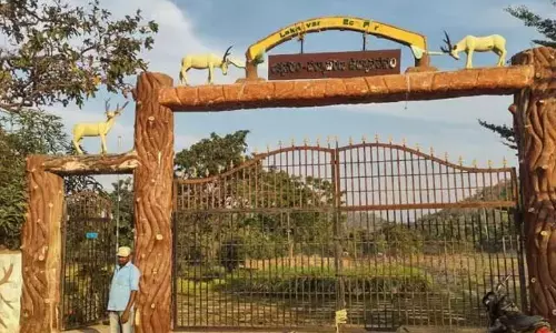 Mulugu Eco Park:  200 ఎకరాల్లో  ఈకో పార్క్ రెడీ