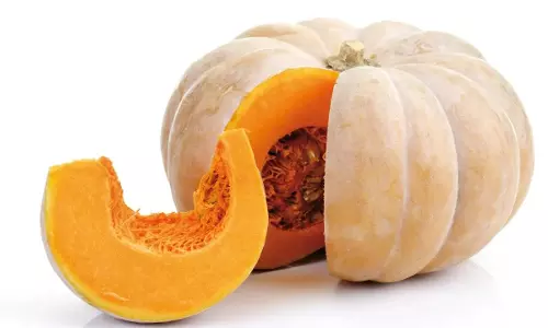 Pumpkin : గుమ్మడికాయ కనిపిస్తే అస్సలు వదలొద్దు.. దాని ప్రయోజనాలు తెలిస్తే షాక్ అవుతారు