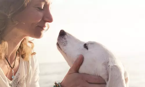 జంతువులకూ ఎమోషన్స్ ఉంటాయని తెలుసా?