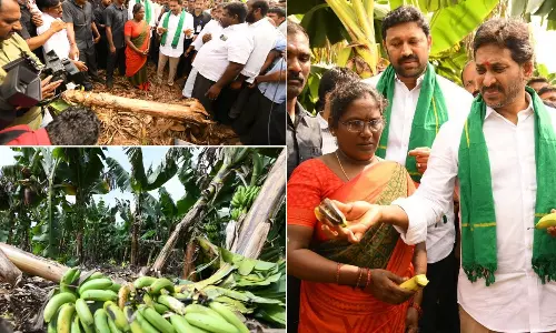 YS Jagan: ఏపీలో రైతుల పరిస్థితి దారుణంగా ఉంది.. ఏ పంటకు గిట్టుబాటు ధర లేదు