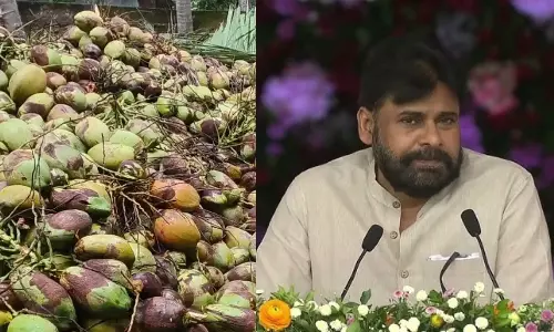 అధికారులను సున్నితంగా హెచ్చరించిన  డిప్యూటీ సీఎం పవన్ కళ్యాణ్