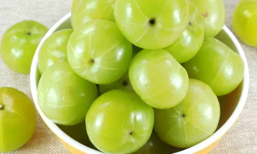Amla benefits: చలికాలంలో ఉసిరికాయల లాభాలు ఇవే! Amla benefits: చలికాలంలో ఉసిరికాయల లాభాలు ఇవే!