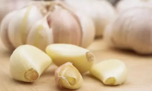 Garlic : రోజూ ఉదయం 2 పచ్చి వెల్లుల్లి రెబ్బలు తినండి.. ఆ తర్వాత వచ్చే మ్యాజిక్ చూడండి Garlic : రోజూ ఉదయం 2 పచ్చి వెల్లుల్లి రెబ్బలు తినండి.. ఆ తర్వాత వచ్చే మ్యాజిక్ చూడండి