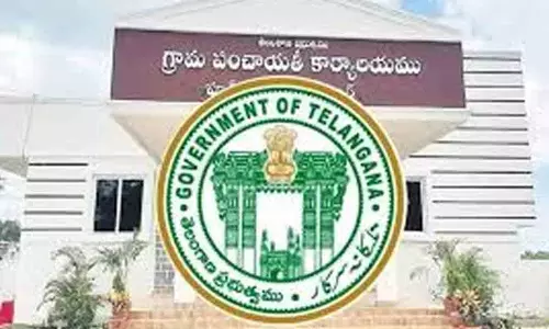 మంగపేట మండలంలో నో ఎలక్షన్: 14 ఏళ్లుగా పంచాయతీ ఎన్నికలు రద్దు మంగపేట మండలంలో నో ఎలక్షన్: 14 ఏళ్లుగా పంచాయతీ ఎన్నికలు రద్దు