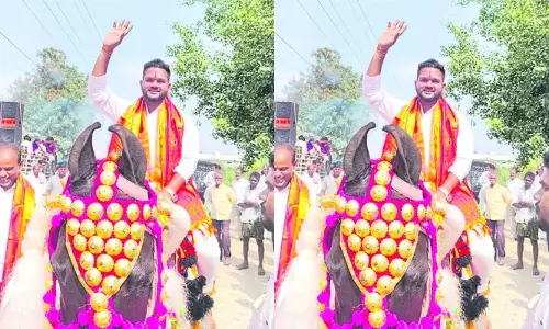 Telangana Local Body Elections: గుర్రంపై వచ్చి.. నామినేషన్‌ వేసి..