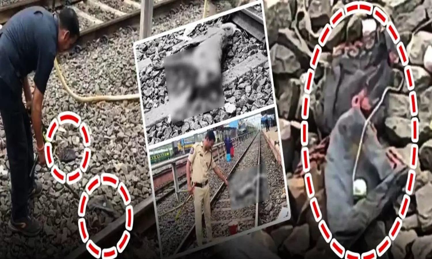 భద్రాద్రి కొత్తగూడెం జిల్లాలో నాటుబాంబు కలకలం