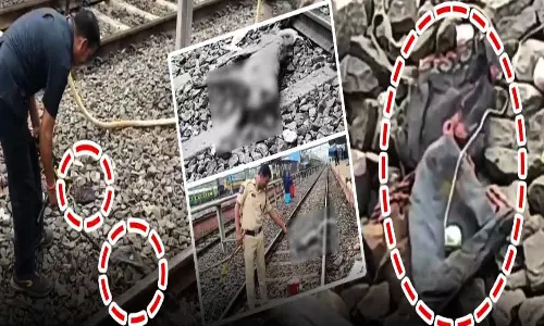 భద్రాద్రి కొత్తగూడెం జిల్లాలో నాటుబాంబు కలకలం