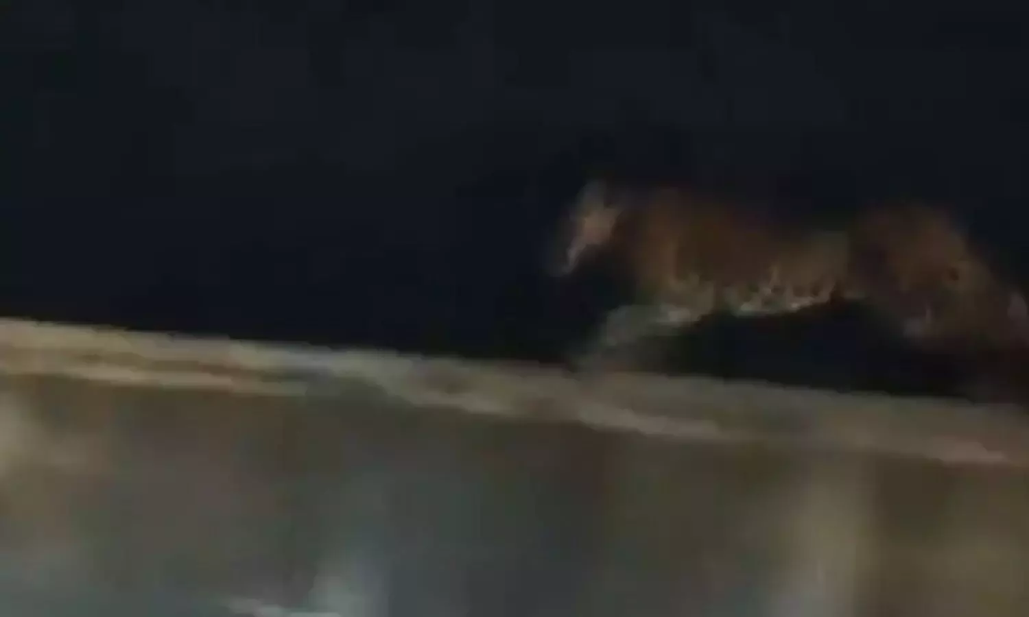 Komuram Bheem Asifabad: ఆసిఫాబాద్‌ జిల్లాలో చిరుత కలకలం