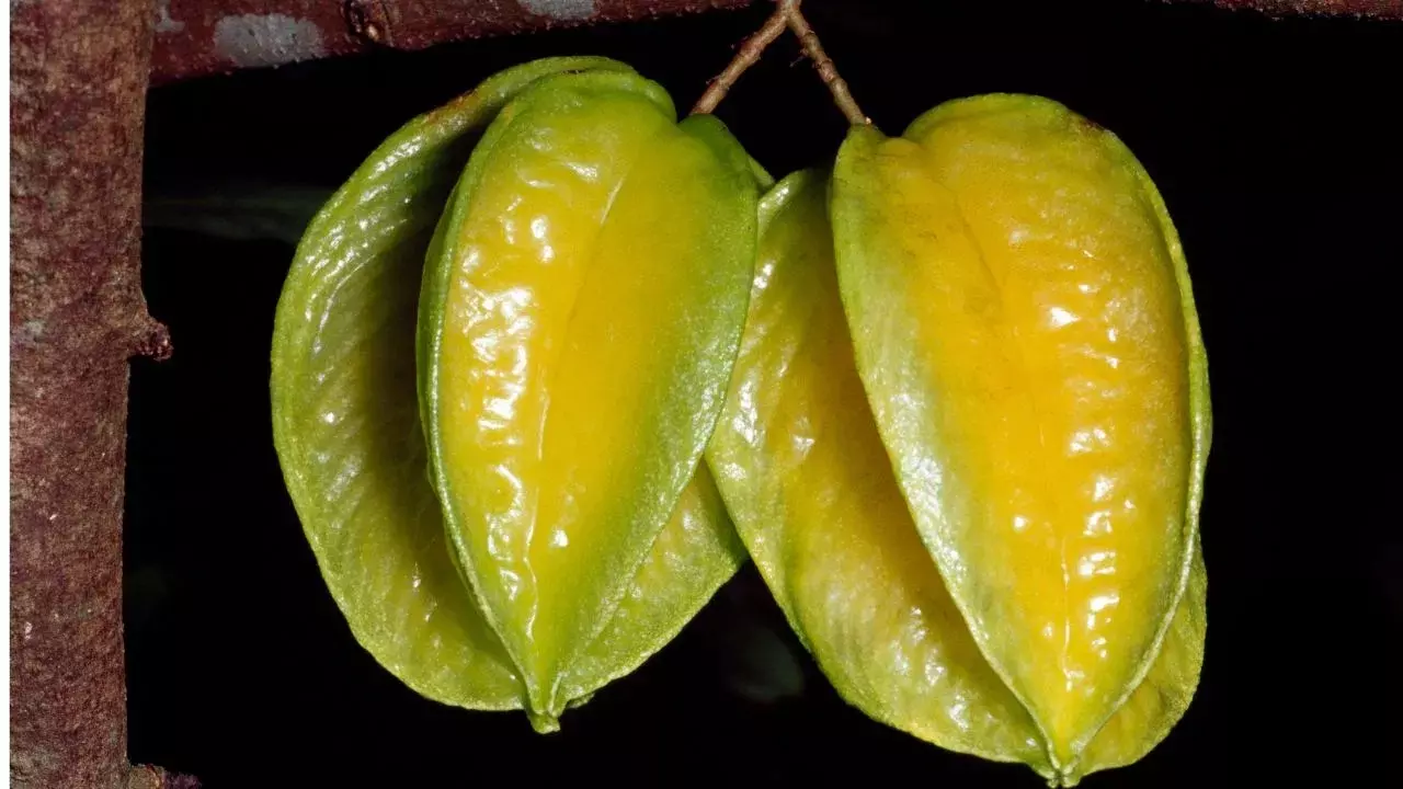 Star Fruit: కంటి పొరలు రాకుండా ఆపే స్టార్ ఫ్రూట్..  ఈ పండు తింటే కలిగే 7 అద్భుత ఆరోగ్య ప్రయోజనాలు