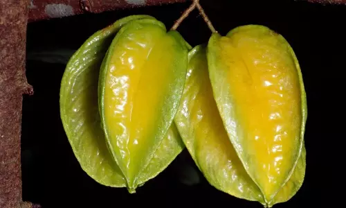 Star Fruit: కంటి పొరలు రాకుండా ఆపే స్టార్ ఫ్రూట్..  ఈ పండు తింటే కలిగే 7 అద్భుత ఆరోగ్య ప్రయోజనాలు