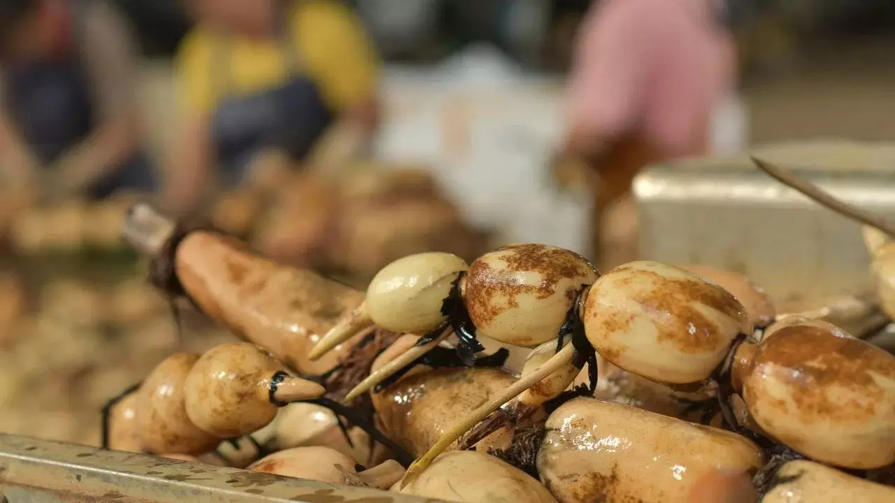 Lotus Root : ఇది ఆహారం కాదు.. ఔషధం.. కమలం వేరు పవర్‌ తెలిస్తే ఆశ్చర్యపోతారు
