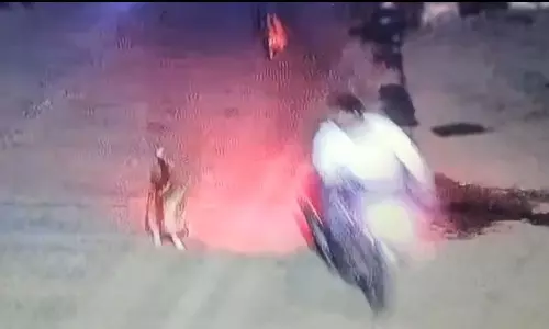 అన్నమయ్య జిల్లాలో దారుణం.. కుక్కల దాడి నుంచి తప్పించుకోబోయి యువకుడి మృతి అన్నమయ్య జిల్లాలో దారుణం.. కుక్కల దాడి నుంచి తప్పించుకోబోయి యువకుడి మృతి