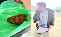 అబ్దుల్లాపూర్ పీఎస్ పరిధి కోహెడలో గంజాయి బ్యాచ్ బీభత్సం