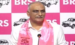 Harish Rao: గ్లోబల్ సమ్మిట్.. రియల్ ఎస్టేట్ సమ్మిట్‌లా మారింది