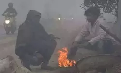 తెలంగాణలో తీవ్ర చలి అలర్ట్: వచ్చే మూడు రోజులు వణికించే ఉష్ణోగ్రతలు