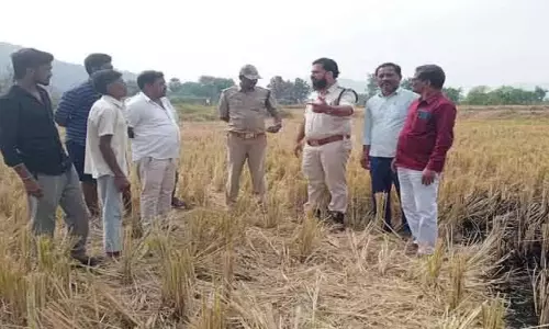 Jagtial: జగిత్యాల జిల్లా రాయపట్నంలో చిరుత కలకలం