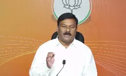 Alleti Maheshwar Reddy: రేవంత్‌ సరదా కోసం వంద కోట్ల ప్రజాధనం దుర్వినియోగం