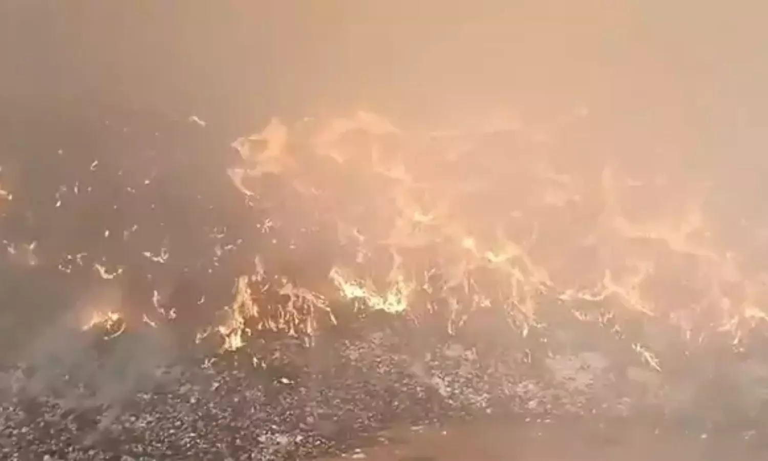 Fire Accident: ఆదోనిలో భారీ అగ్నిప్రమాదం Fire Accident: ఆదోనిలో భారీ అగ్నిప్రమాదం