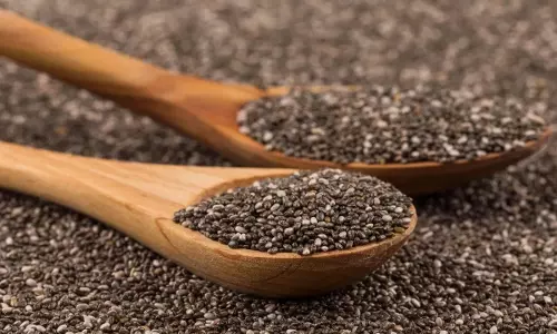 Chia Seeds : కూర్చుని చేసే ఉద్యోగాలు చేసేవారికి ముఖ్య గమనిక..పైల్స్ కు సర్జరీ అవసరం ఉండదు Chia Seeds : కూర్చుని చేసే ఉద్యోగాలు చేసేవారికి ముఖ్య గమనిక..పైల్స్ కు సర్జరీ అవసరం ఉండదు