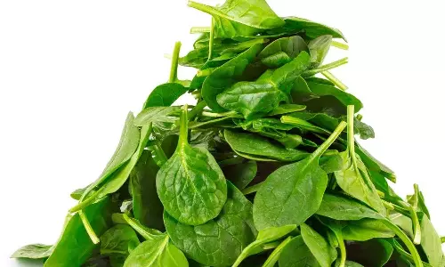 Vitamin B12 Vitamin B12