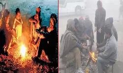 Adilabad Cold Wave: ఆదిలాబాద్ జిల్లాను వణికిస్తున్న చలి