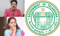 ఐడీపీఎల్‌ భూములపై విచారణకు తెలంగాణ సర్కార్‌ ఆదేశం