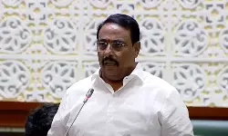 Danam Nagender: GHMC సమావేశంలో మేయర్‌ను ప్రశ్నించి ఎమ్మెల్యే నాగేందర్