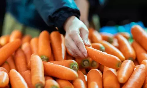 Carrot: వారానికి రెండు సార్లు తింటే చాలు...క్యారెట్లతో క్యాన్సర్కు చెక్ Carrot: వారానికి రెండు సార్లు తింటే చాలు...క్యారెట్లతో క్యాన్సర్కు చెక్