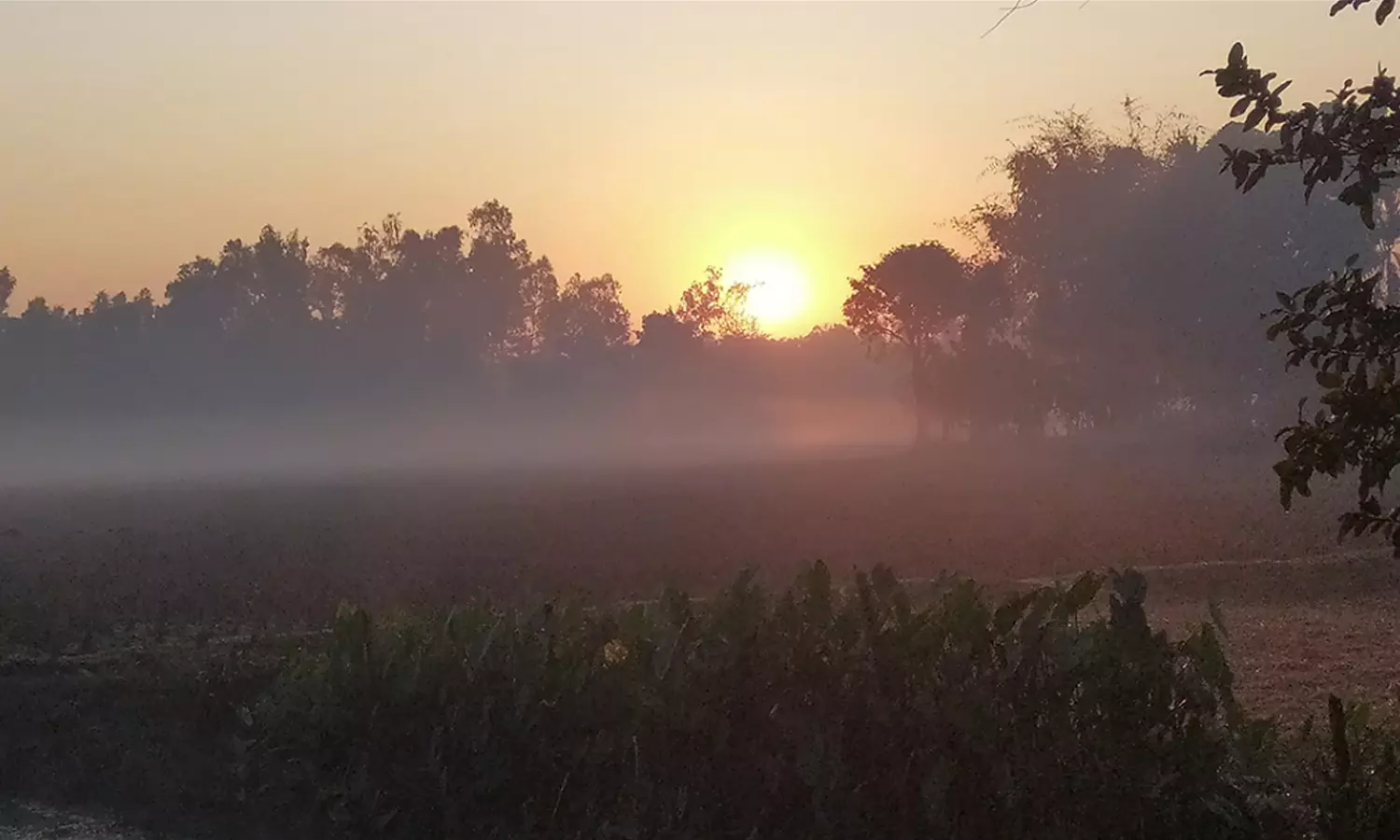 16 డిగ్రీల ఉష్ణోగ్రతతో వణికిపోతున్న కర్నూలు జిల్లా 16 డిగ్రీల ఉష్ణోగ్రతతో వణికిపోతున్న కర్నూలు జిల్లా