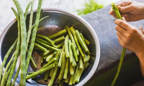 Drumstick : మునగకాయ ఆరోగ్యానికి మంచిదే..కానీ ఈ సమస్యలు ఉంటే మాత్రం అస్సలు తినొద్దు