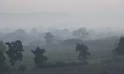 Cold Wave: మన్యం జిల్లా దుప్పటిలా కప్పేసిన మంచు..చలి తీవ్రతతో వణికిపోతున్న ప్రజలు