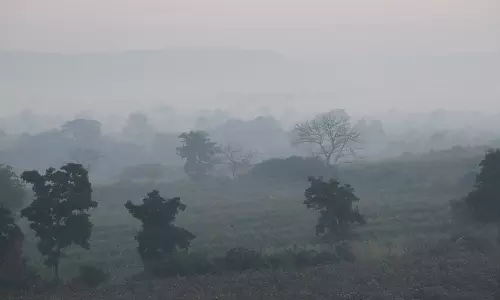 Cold Wave: మన్యం జిల్లా దుప్పటిలా కప్పేసిన మంచు..చలి తీవ్రతతో వణికిపోతున్న ప్రజలు