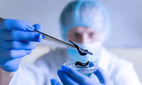 Leech Therapy : లీచ్ థెరపీతో క్యాన్సర్ ఖతం అవుతుందా? జలగ కాటు వెనుక ఉన్న అసలు నిజాలివే Leech Therapy : లీచ్ థెరపీతో క్యాన్సర్ ఖతం అవుతుందా? జలగ కాటు వెనుక ఉన్న అసలు నిజాలివే