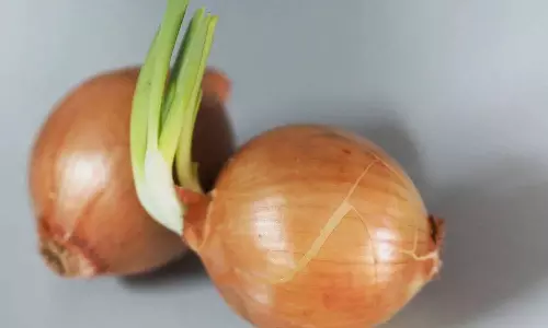 Onions