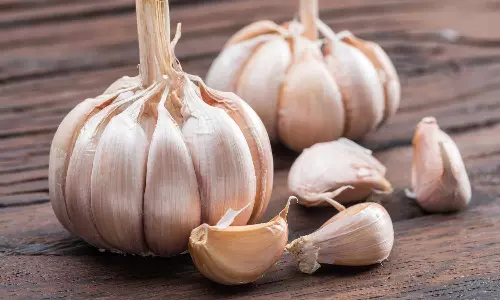 Raw Garlic Shock: వెల్లుల్లి గుండెకు మ్యాజిక్.. బీపీ, కొలెస్ట్రాల్ తగ్గే రహస్య చిట్కాలు!