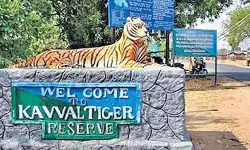 ఆదివాసీలకు ఇందిరమ్మ ఇళ్లు కలేనా..? టైగర్ జోన్ అంటూ అటవీ శాఖ అడ్డగింపు..