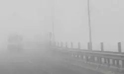 Hyderabad: హైదరాబాద్ నగర శివారు ప్రాంతాలను కమ్మేసిన పొగమంచు