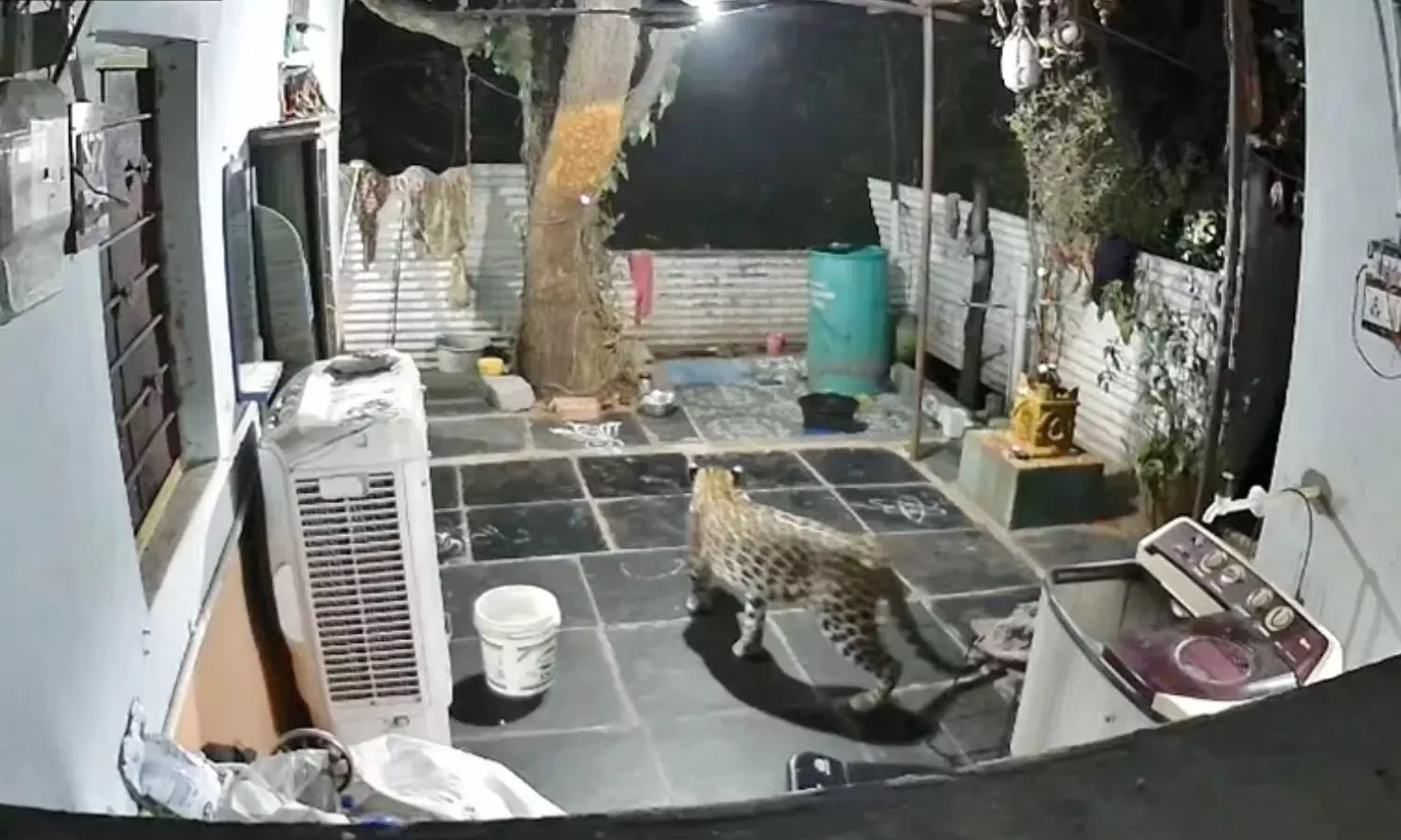 Srisailam: భక్తులకు అలర్ట్.. శ్రీశైలంలో చిరుత కలకలం Srisailam: భక్తులకు అలర్ట్.. శ్రీశైలంలో చిరుత కలకలం