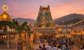 Tirumala Updates: శ్రీవారి దర్శనానికి 24 గంటలు! సంక్రాంతి సెలవుల ప్రకటన.. మరిన్ని ముఖ్యాంశాలు Tirumala Updates: శ్రీవారి దర్శనానికి 24 గంటలు! సంక్రాంతి సెలవుల ప్రకటన.. మరిన్ని ముఖ్యాంశాలు