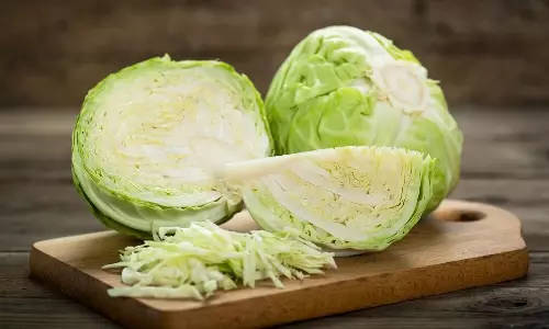 Cabbage Tapeworm: క్యాబేజీ తింటున్నారా? వండకముందు ఇలా చేయకపోతే ప్రాణాలు పోతాయ్..!! Cabbage Tapeworm: క్యాబేజీ తింటున్నారా? వండకముందు ఇలా చేయకపోతే ప్రాణాలు పోతాయ్..!!