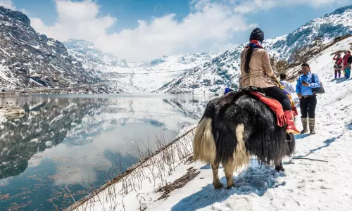 Winter Travel : వింటర్ సీజన్లో తప్పక వెళ్లాల్సిన ఇండియాలోని బెస్ట్ టూరిస్ట్ ప్లేస్లు Winter Travel : వింటర్ సీజన్లో తప్పక వెళ్లాల్సిన ఇండియాలోని బెస్ట్ టూరిస్ట్ ప్లేస్లు