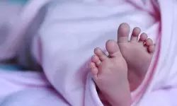 Hyderabad: అప్పుడే పుట్టిన పసికందును చెత్త చెత్త కుప్పలో పడేసిన తల్లి