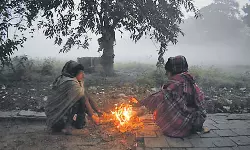 Telangana Cold Wave Alert: నేటి నుంచి 12 వరకు తెలంగాణలో తగ్గనున్న ఉష్ణోగ్రతలు