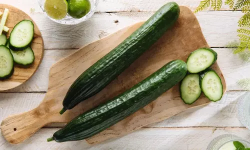 Cucumber Side Effects : కీరదోసకాయ అమృతమే.. కానీ ఈ సమస్యలు ఉంటే మాత్రం విషంతో సమానం
