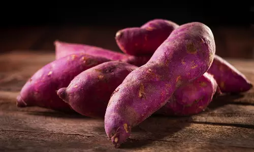 Sweet Potatoes: వింటర్ సీజన్లో మీ ఇమ్యూన్ సిస్టమ్ బూస్ట్ చేయడానికి మిరాకిల్ ఫుడ్! Sweet Potatoes: వింటర్ సీజన్లో మీ ఇమ్యూన్ సిస్టమ్ బూస్ట్ చేయడానికి మిరాకిల్ ఫుడ్!