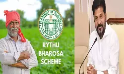 Rythu Bharosa: సార్.. మాకు ఈసారైనా రైతు భరోసా వస్తుందా..? అర్హులకు రైతు భరోసా ఏది..?
