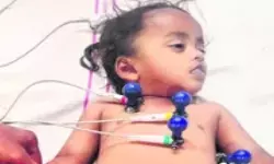 Kamareddy: బాతులు తాగేందుకు ఏర్పాటు చేసిన... నీటి తొట్టిలో పడి బాలుడి మృతి