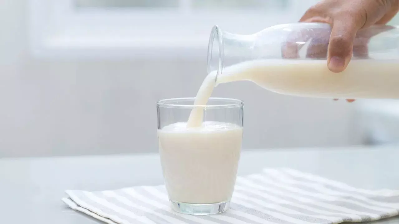 Milk Benefits : రాత్రిపూట పాలు తాగుతున్నారా? ఈ ఆరోగ్య సమస్యలు ఉంటే మీరు డేంజర్లో ఉన్నట్లే Milk Benefits : రాత్రిపూట పాలు తాగుతున్నారా? ఈ ఆరోగ్య సమస్యలు ఉంటే మీరు డేంజర్లో ఉన్నట్లే