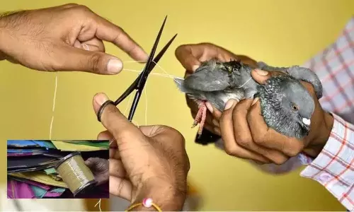 Chinese Manja: ప్రాణాలు తీస్తున్న చైనా మాంజా..సంక్రాంతి ముందు కీసర ఘటనతో కలకలం