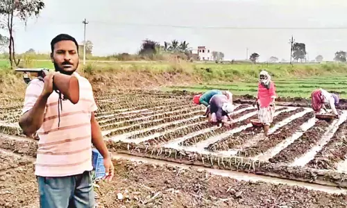 నాగలి పట్టాల్సిన చేతుల్లో తుపాకులు.. మహారాష్ట్ర రైతులకు తప్పని చిరుత తిప్పలు